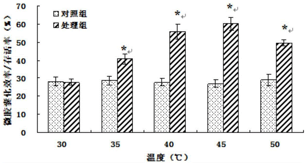 Method for protecting lactobacillus by soy isolate protein obtained through transglutaminase crosslinking