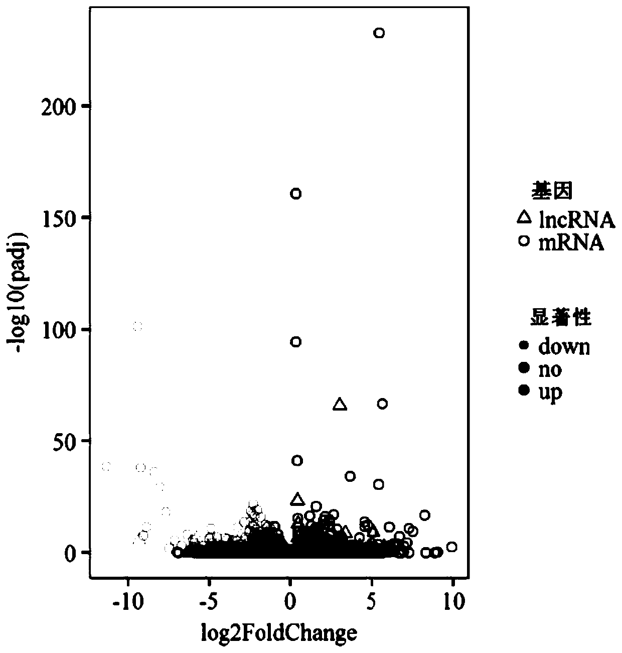 A new lncRNA extracted from porcine intramuscular adipose tissue and its application