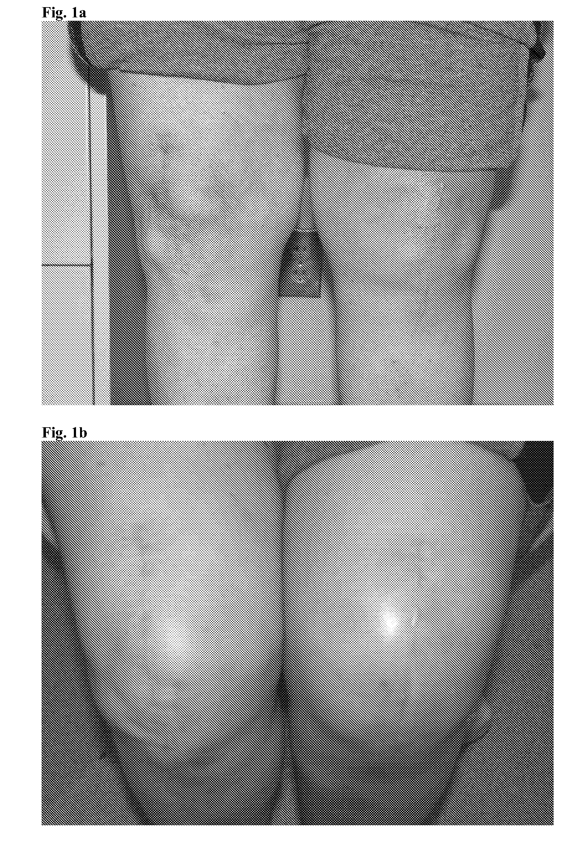 Methods and Compositions for Wound Healing