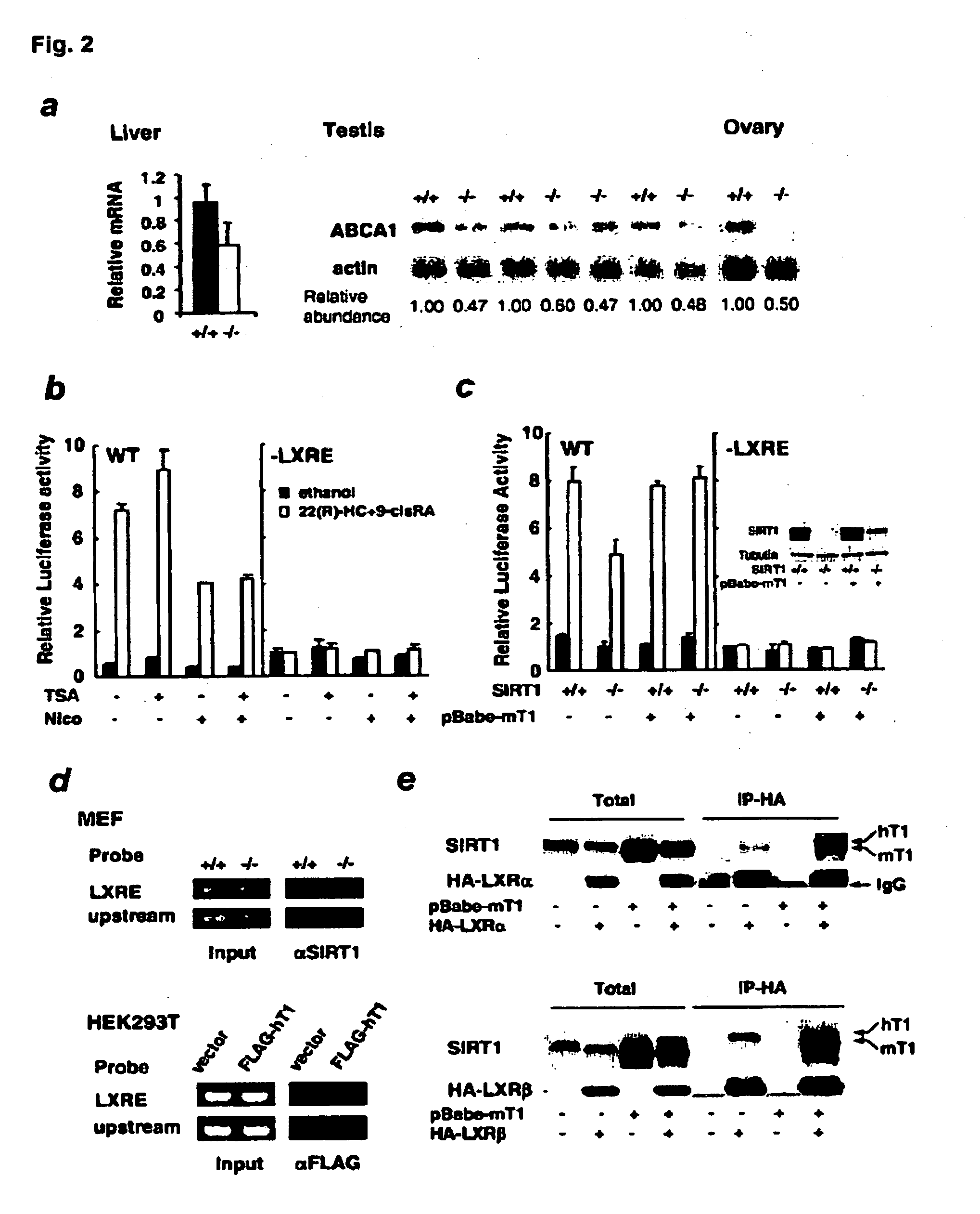 Cholesterol-Regulating Complex of SIRT1 and LXR and Methods of Use