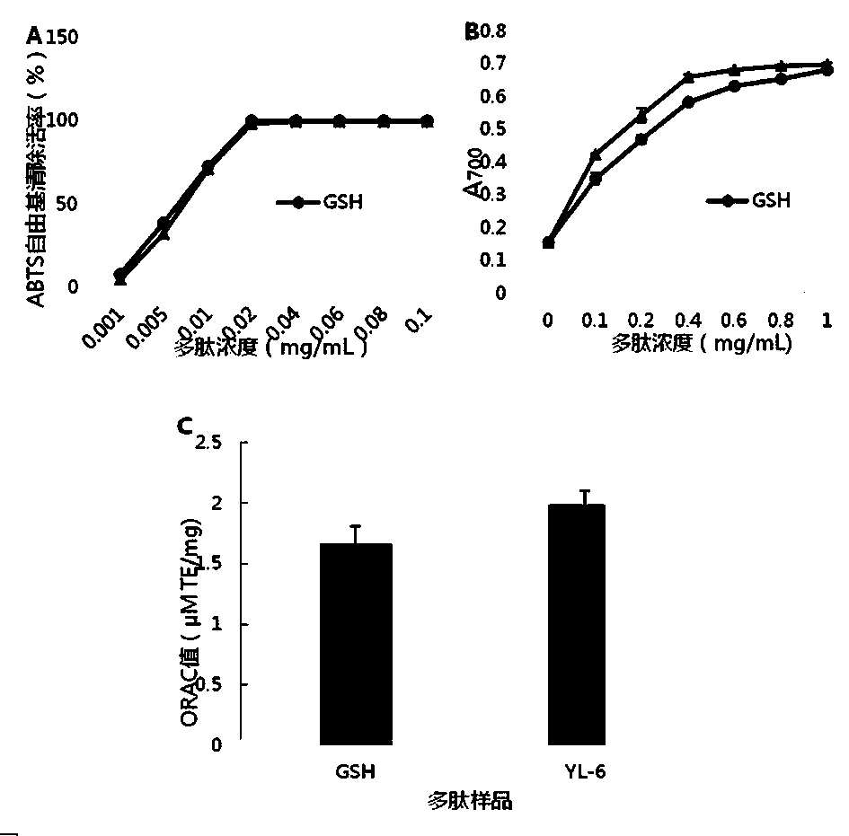 Flaxseed meal anti-oxidation hexapeptide as well as preparation method and application thereof