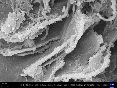 Preparation of alpha-Fe2O3/TpPa-2 composite and application of alpha-Fe2O3/TpPa-2 composite in water photolysis for hydrogen production