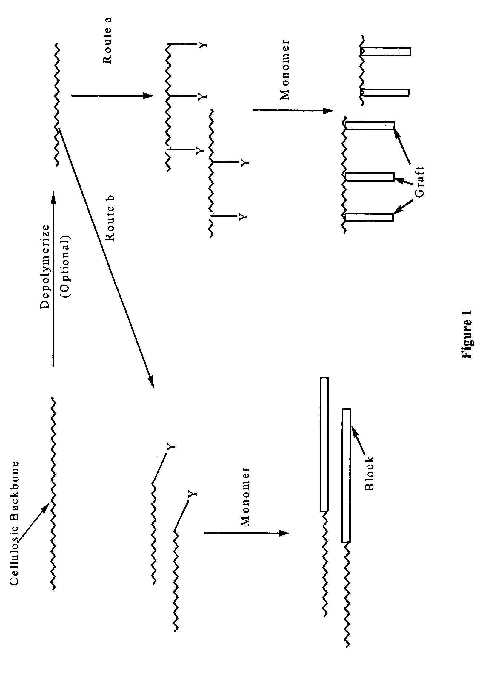Cellulose copolymers that modify fibers and surfaces and methods of making same