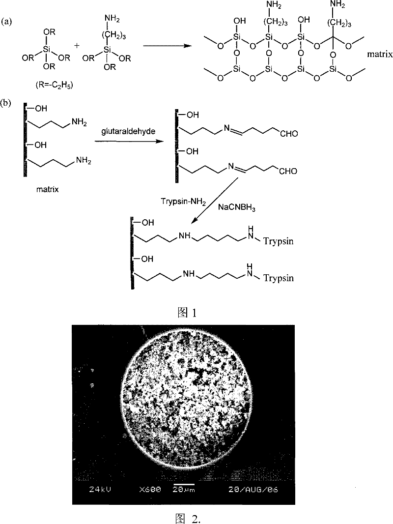 Preparation of porous integral material immobilized enzyme micro-reactor