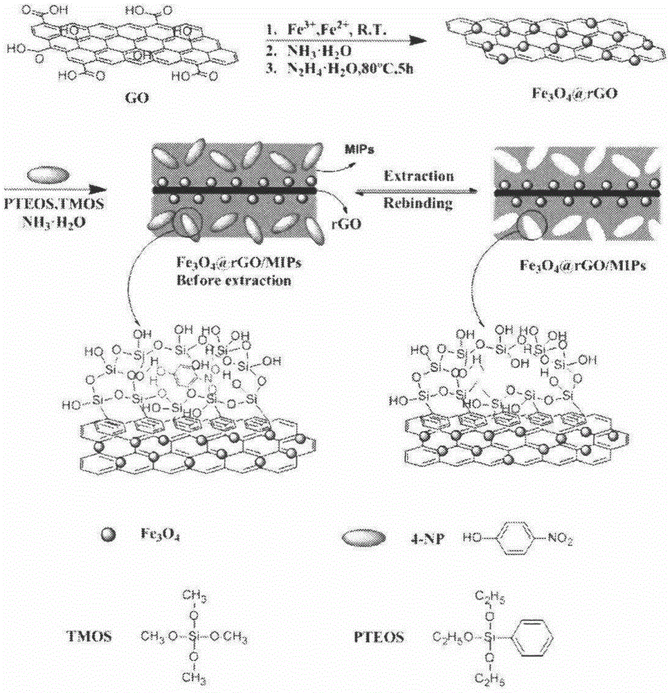 Preparation method for surface molecular imprinting nano-composite material of magnetic graphene