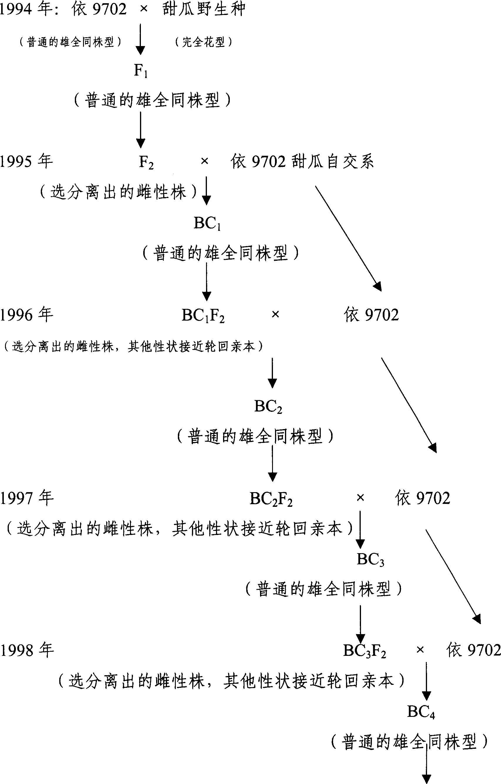 Method for producing muskmelon hybrid seed