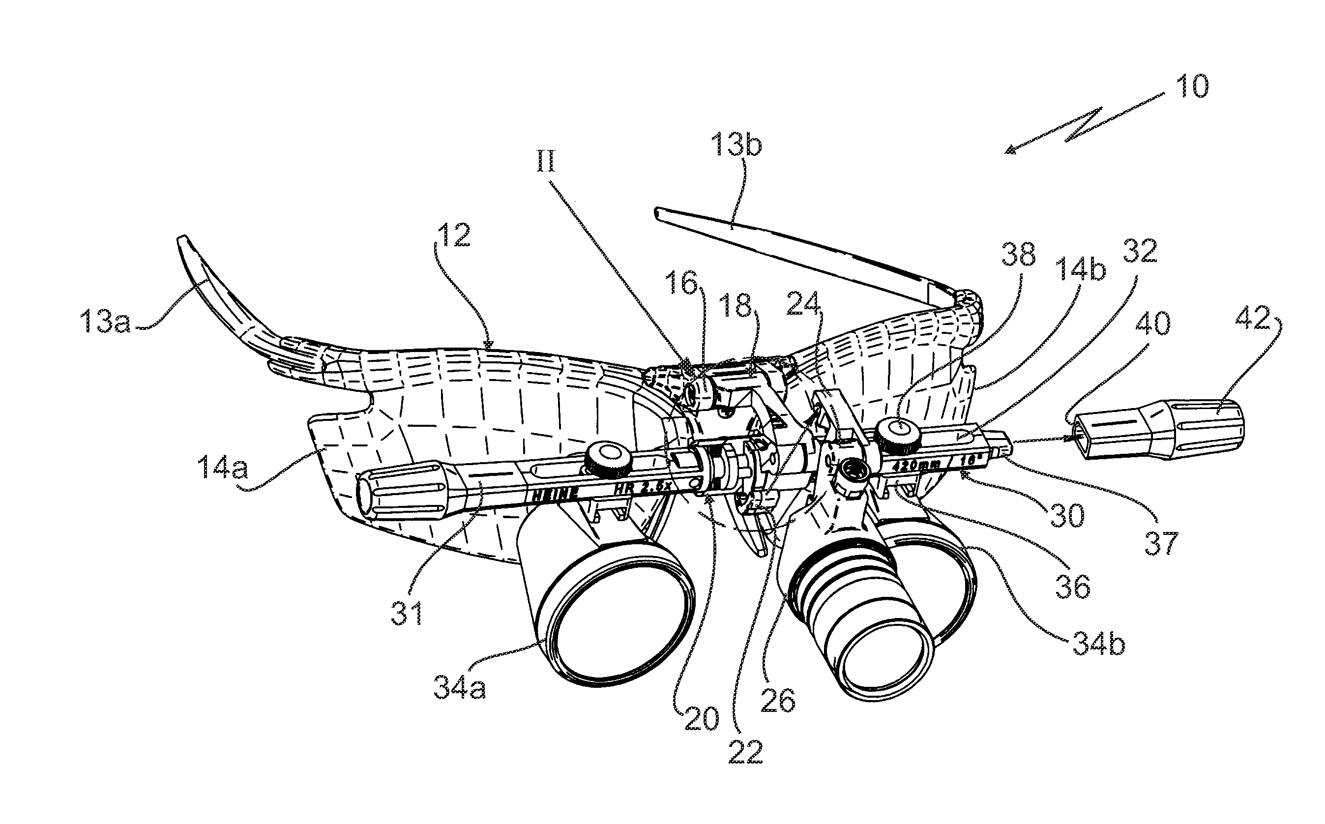 Loupe support system