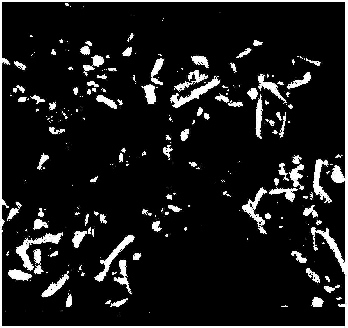 Copper lithium nickelate positive electrode material and preparation method thereof and lithium ion battery