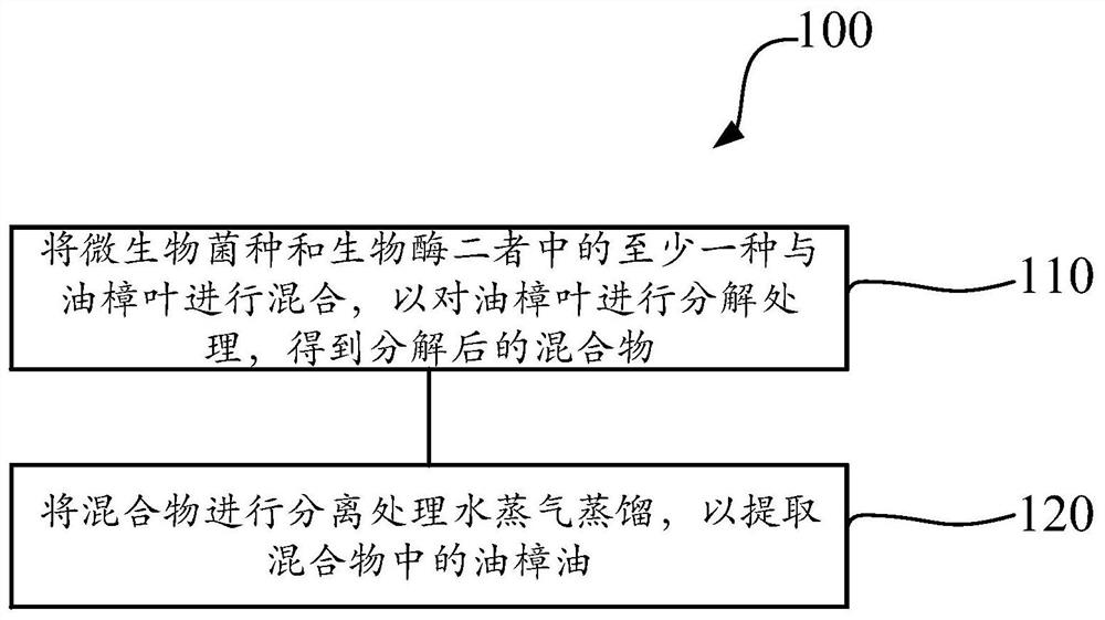 Method for extracting cinnamomum longepaniculatum oil