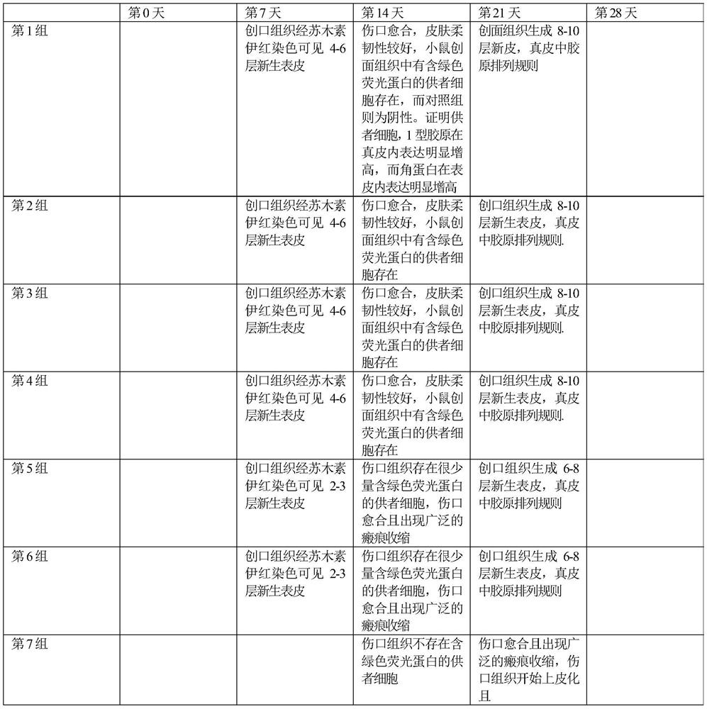 A kind of medicinal composition and its application in promoting skin wound healing