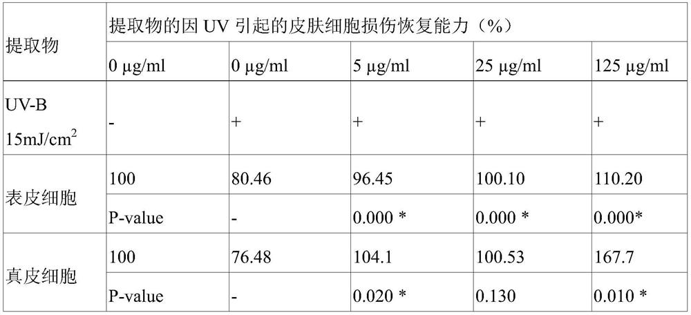 Composition for ameliorating human skin cell damage caused by ultraviolet rays containing hydrangea chinensis extract