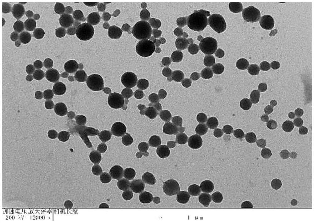 Method for preparing functional grape seed nanosphere particles by using grape seeds and product thereof