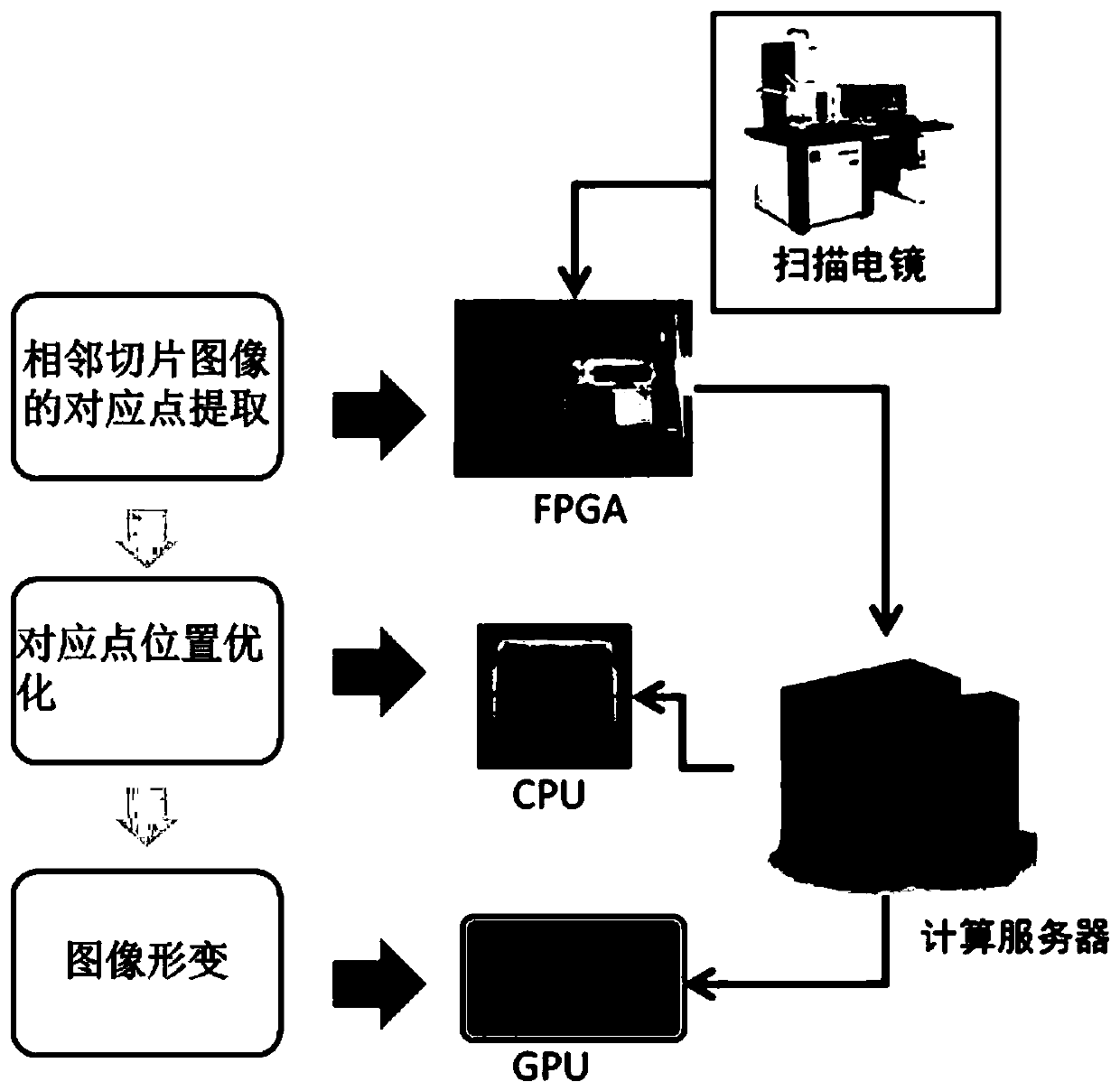 Device and method for real-time registration of scanning electron microscope images for sequential slices