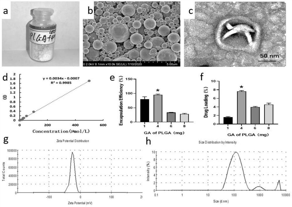 Ultrasonic administration microbubble compound carrying anti-tumor drug as well as preparation method and application of ultrasonic administration microbubble compound