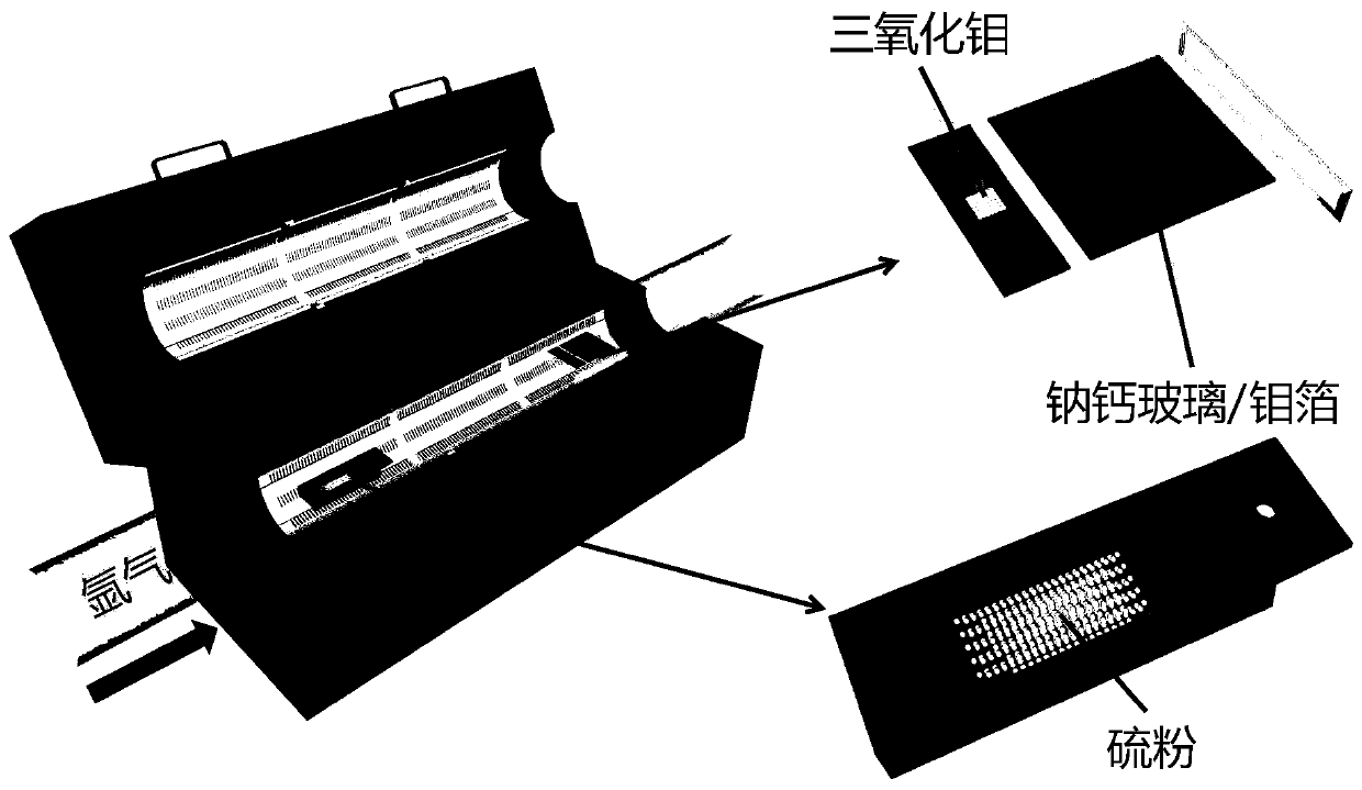 A chemical vapor deposition preparation method of large-scale three-layer molybdenum sulfide single crystal