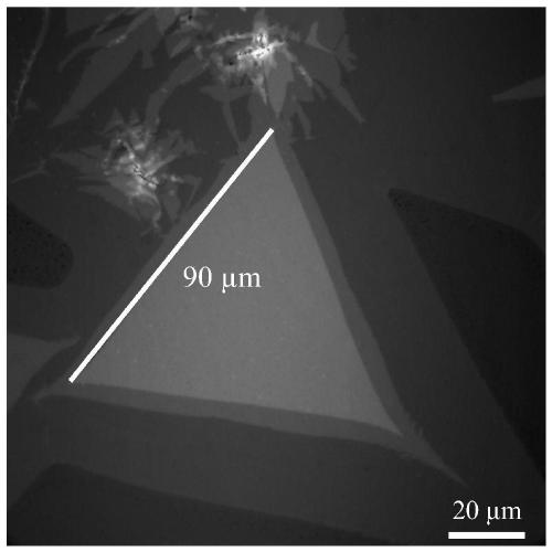 A chemical vapor deposition preparation method of large-scale three-layer molybdenum sulfide single crystal