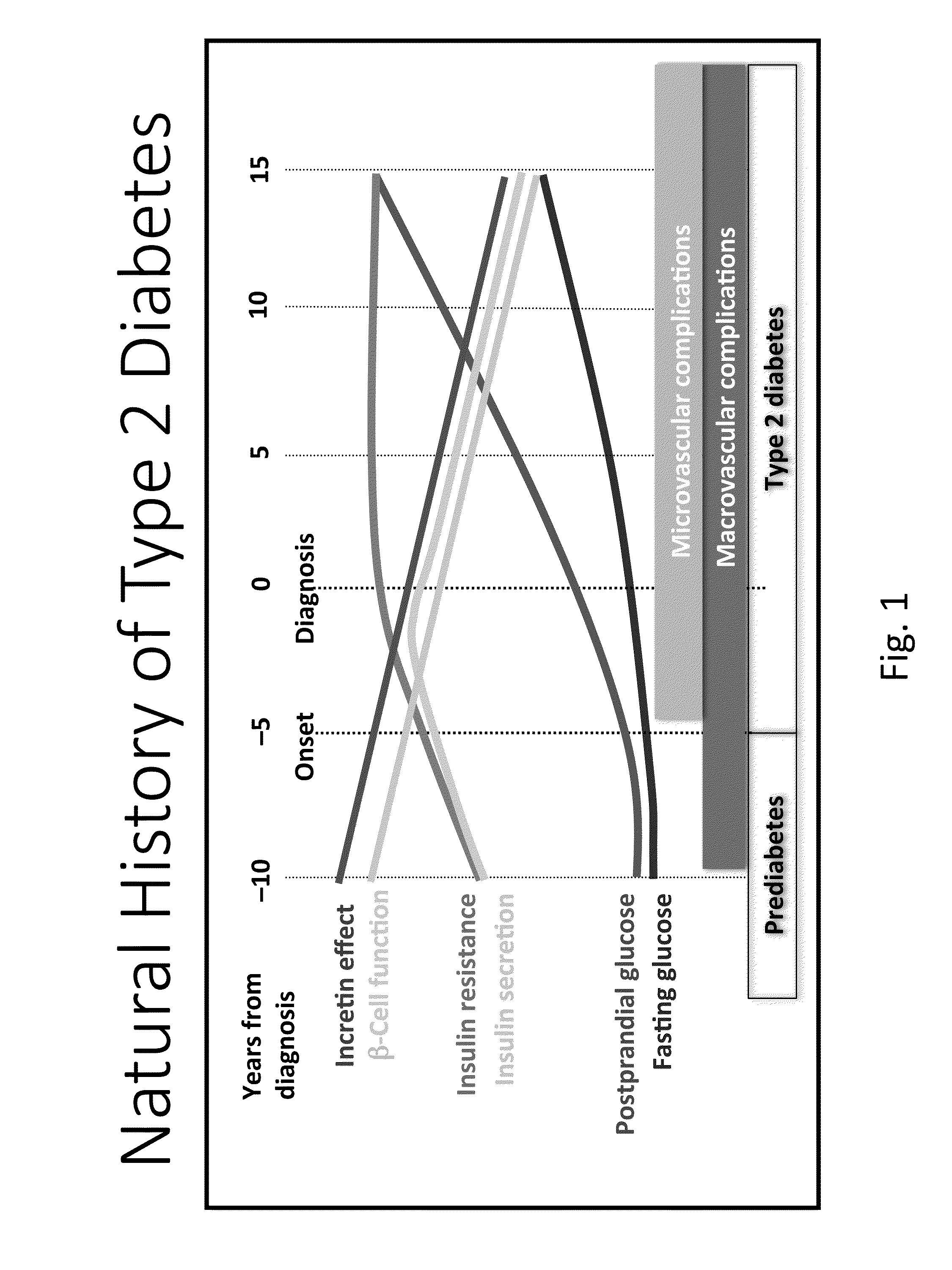 Pulse Photoplethysmogram System for Diabetes Assessment