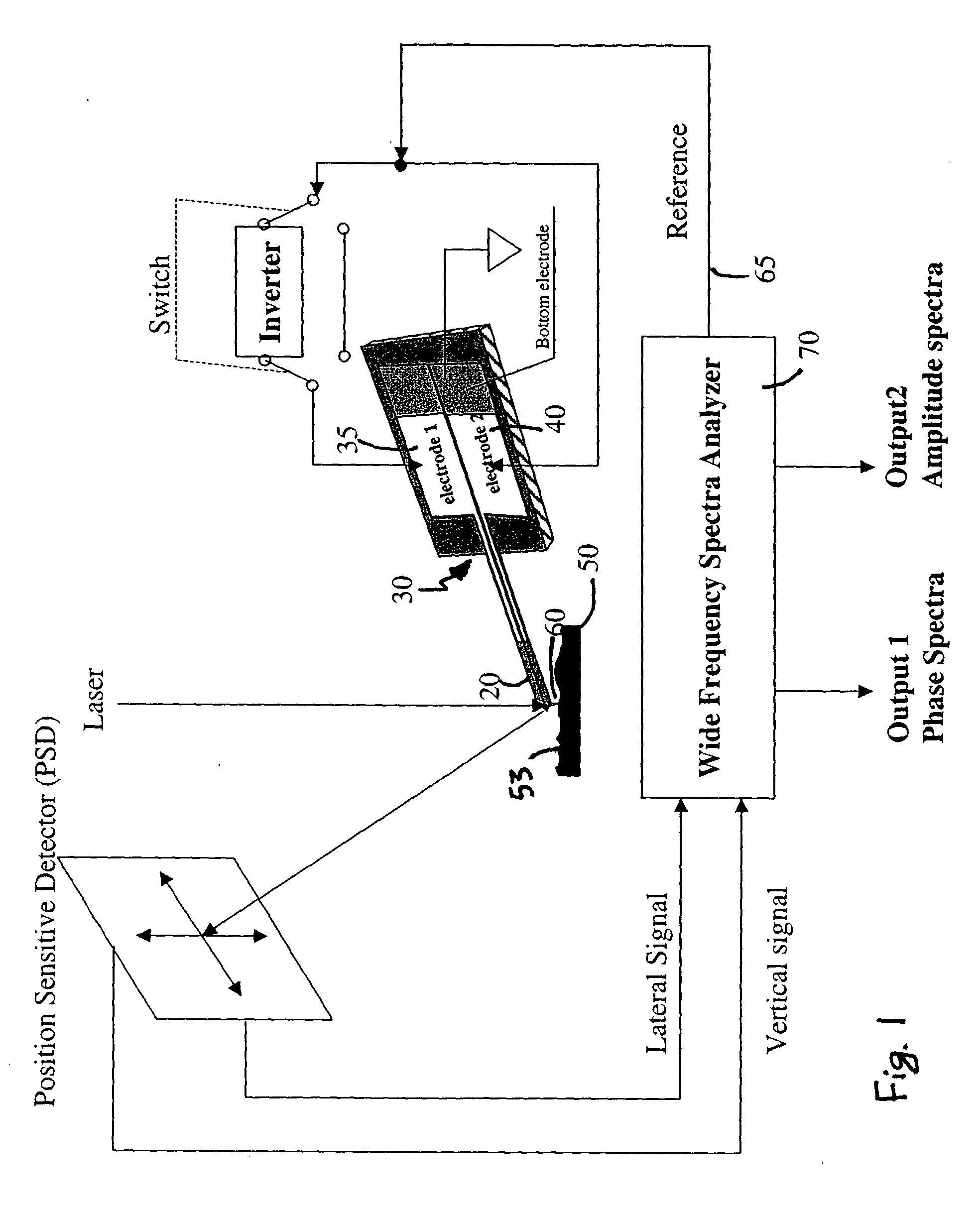 System for wide frequency dynamic nanomechanical analysis