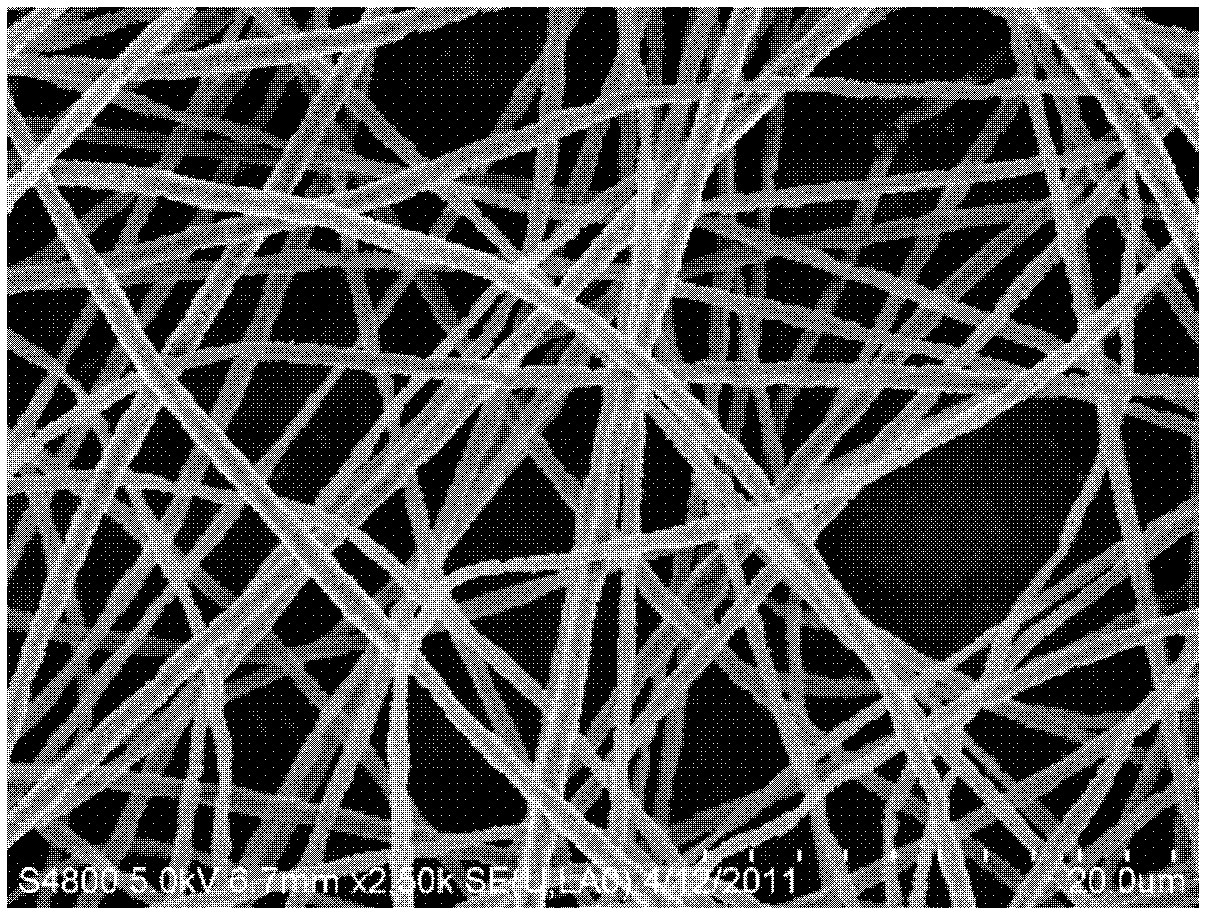 Method for preparing fiber film with structural color