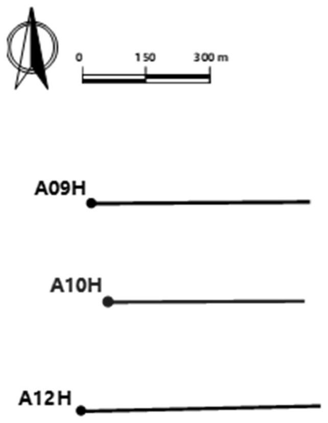 Method for tracking and evaluating profile control and displacement effect of horizontal well