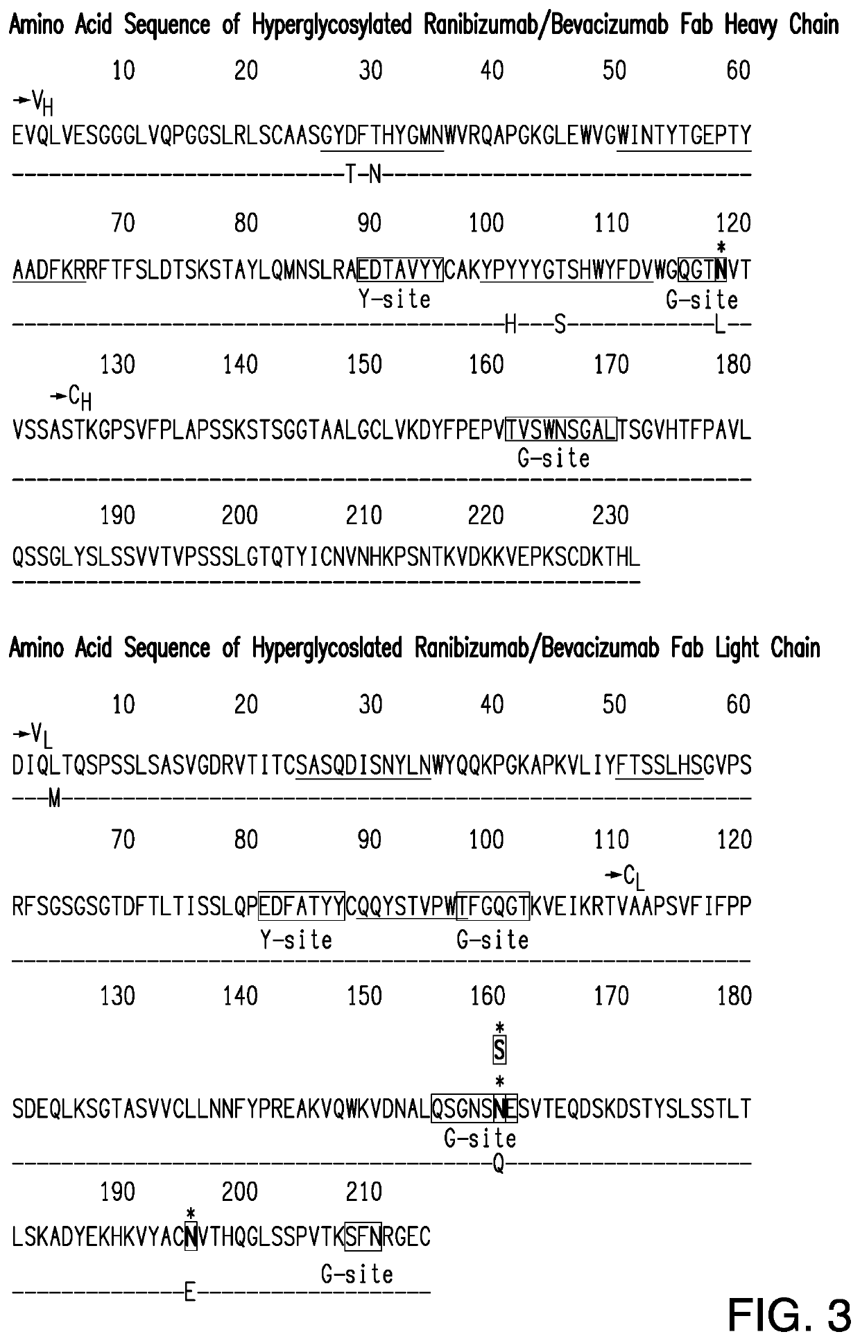 TREATMENT OF OCULAR DISEASES WITH FULLY-HUMAN POST-TRANSLATIONALLY MODIFIED ANTI-VEGF Fab