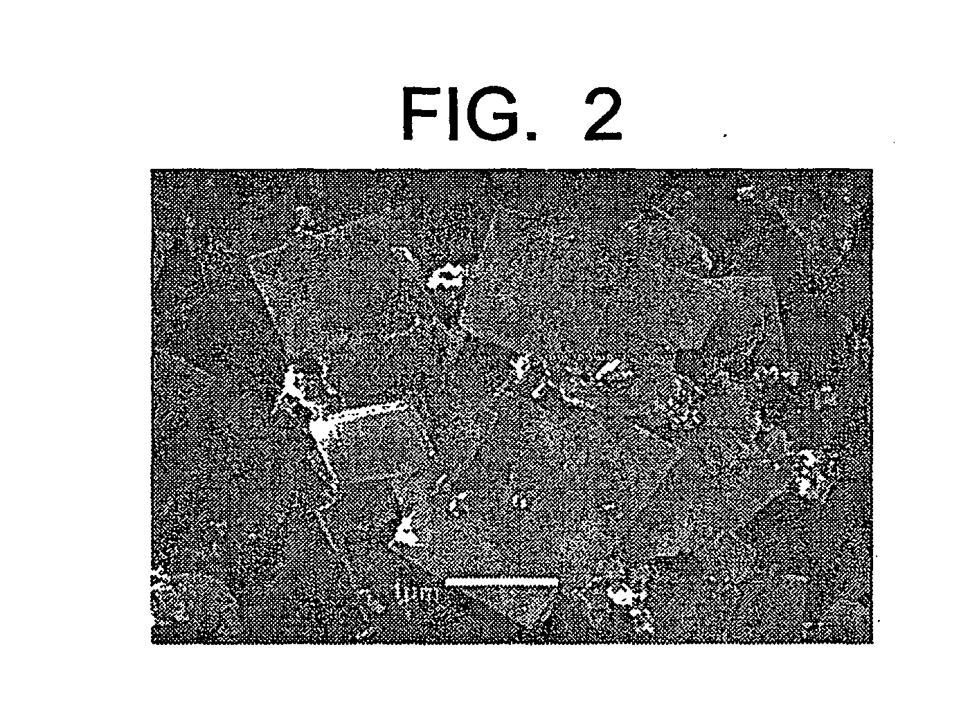 Synthetic platy magadiite and octasilicate