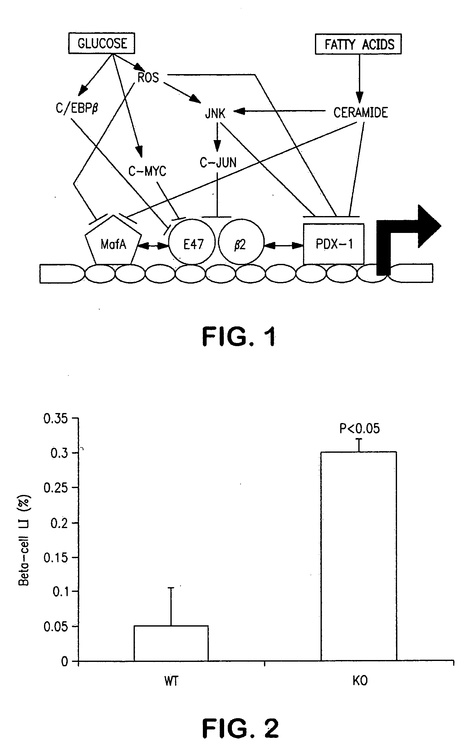 Method and compounds for modulating insulin production
