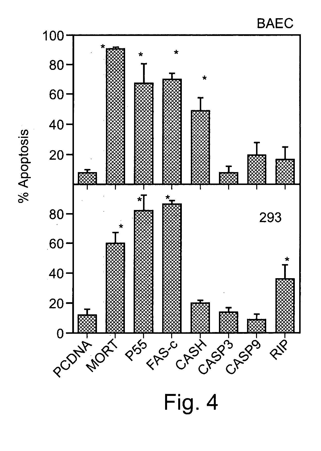 Polynucleotide constructs, pharmaceutical compositions and methods for targeted downregulation of angiogenesis and anticancer therapy
