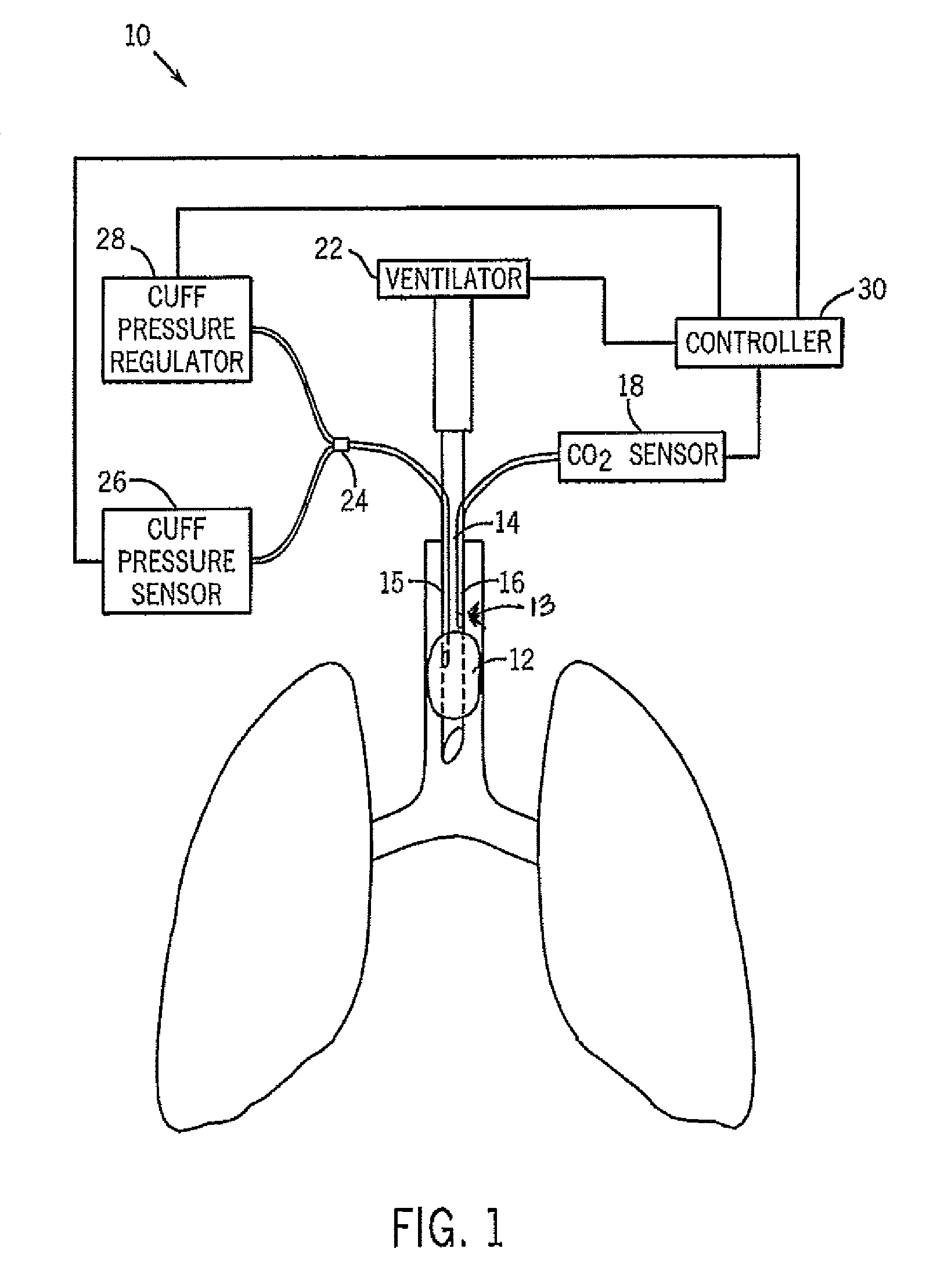 Airway system with carbon dioxide sensor for determining tracheal cuff inflation and technique for using the same