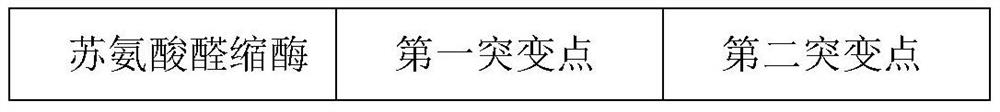 Mutant of threonine aldolase and application thereof in preparation of substituted phenylserine derivatives