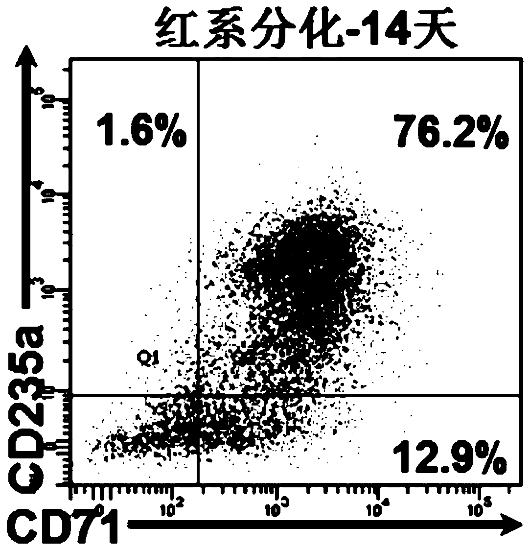 Erythrocyte de-nucleation culture medium and kit