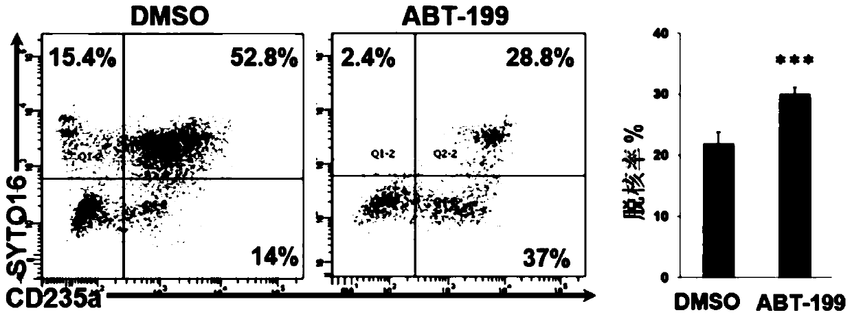 Erythrocyte de-nucleation culture medium and kit