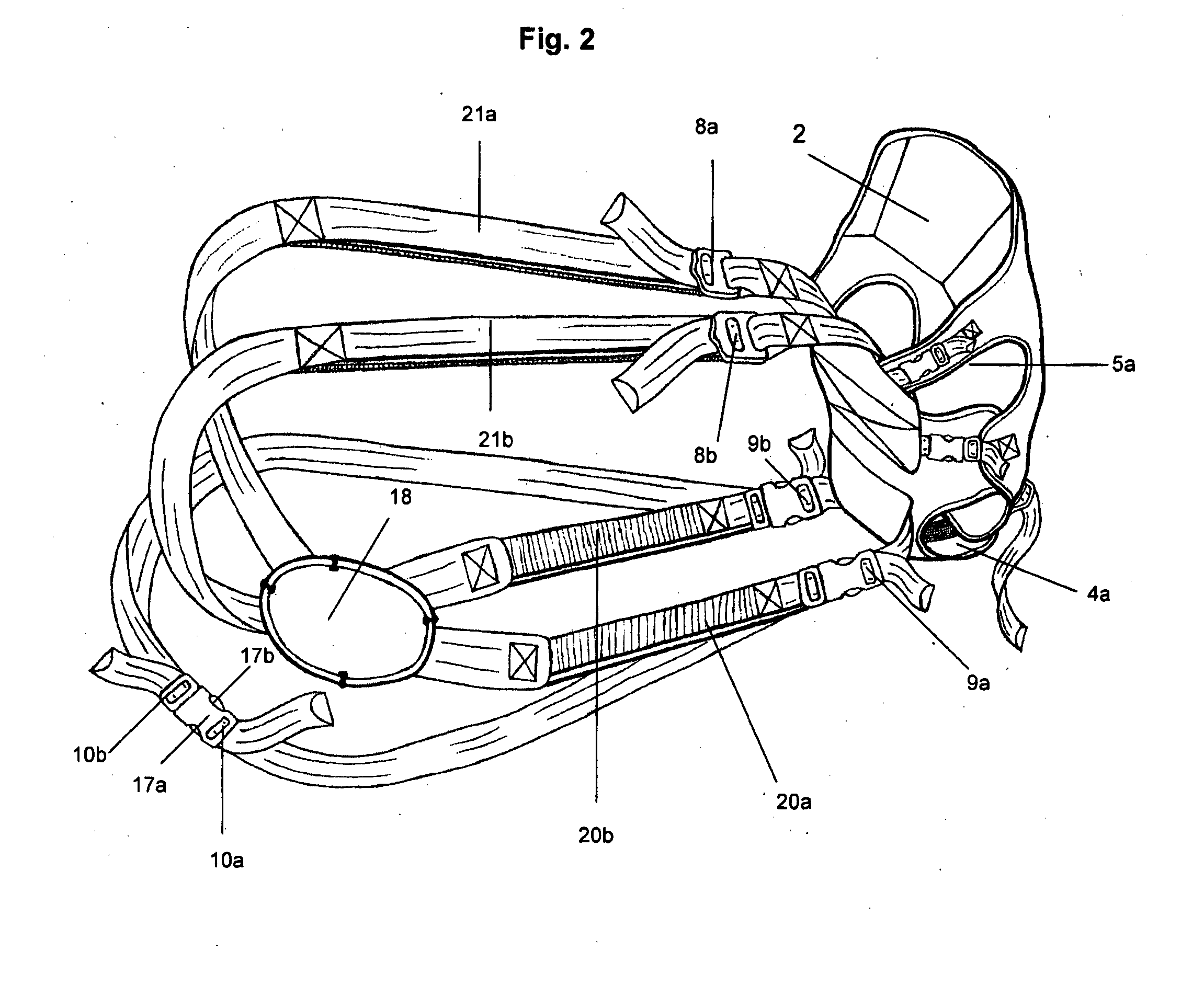 Exercise apparatus