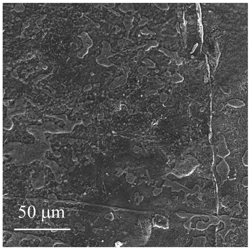 Metal oxide composite self-supporting thermally conductive carbon film, metal lithium anode and its preparation and application
