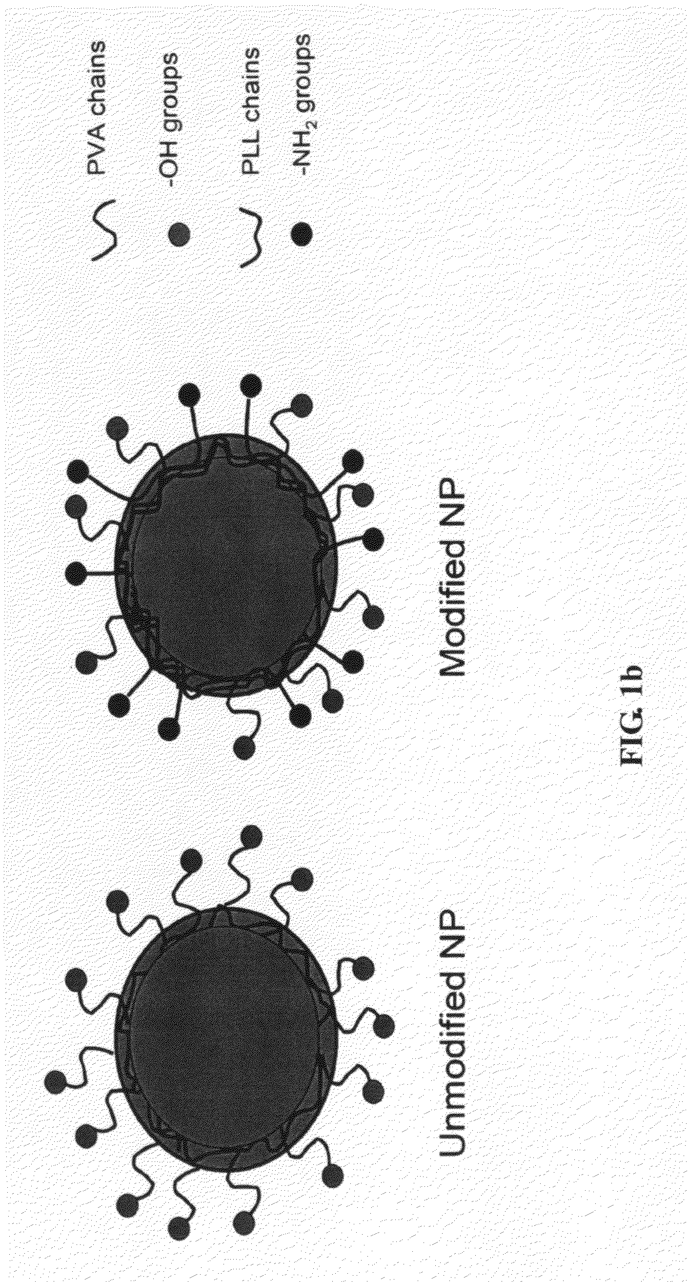 Surface-modified nanoparticles for intracellular delivery of therapeutic agents and composition for making same