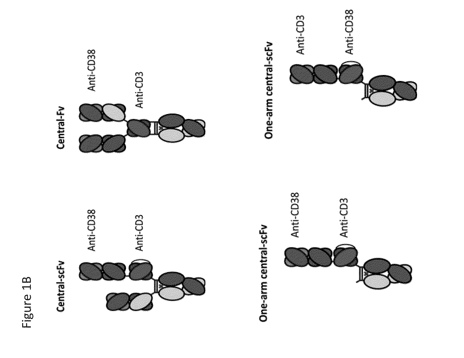 Heterodimeric antibodies that bind cd3 and cd38