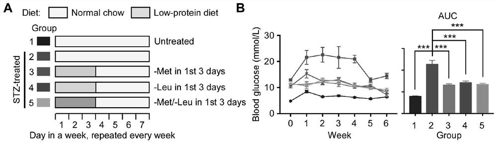 Method for effectively intervening diabetes mellitus by L-type amino acid transporter inhibitor or antagonist