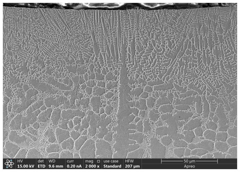 Cellular and columnar combined structure coating used in marine environment and preparation method of cellular and columnar combined structure coating