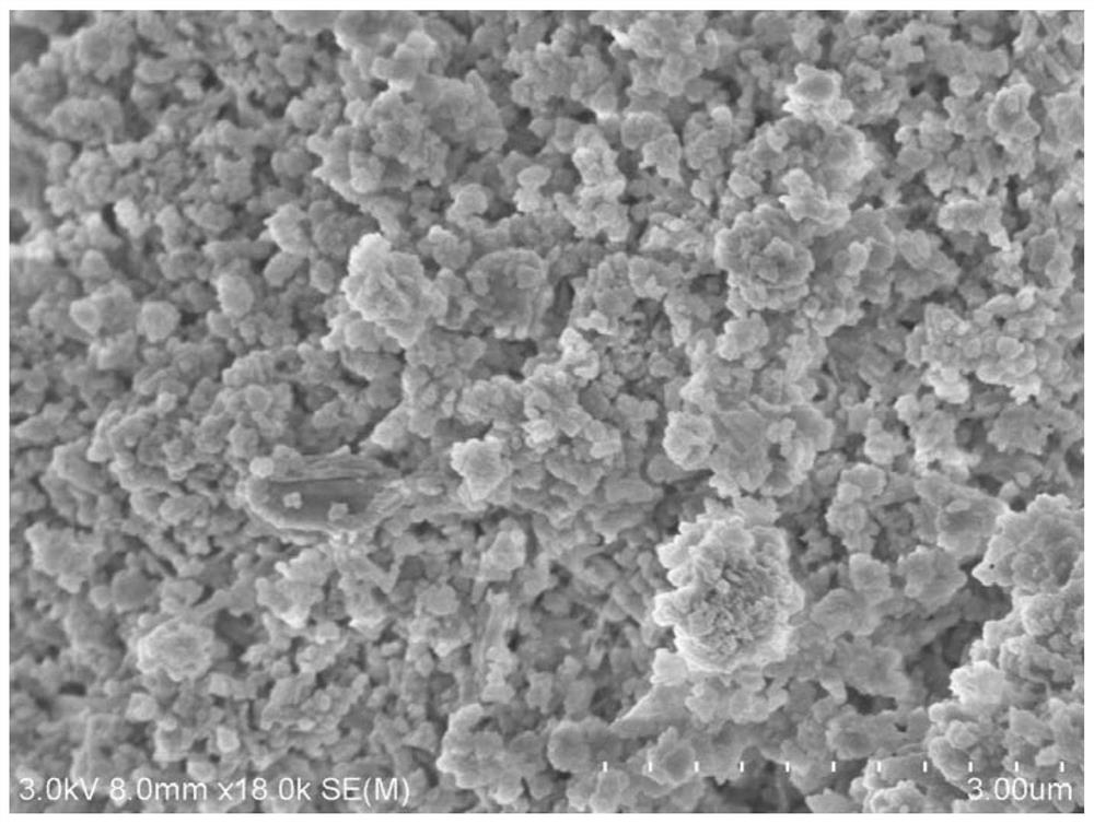 Mesoporous quercetin zirconium catalyst and application thereof in preparation of alpha, beta-unsaturated alcohol