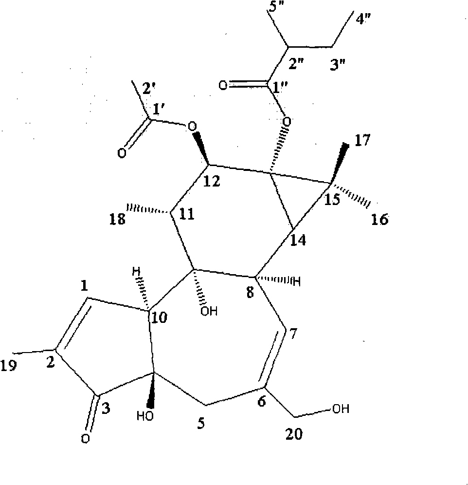 Diterpene compound extracted from branches and leaves of croton and use thereof