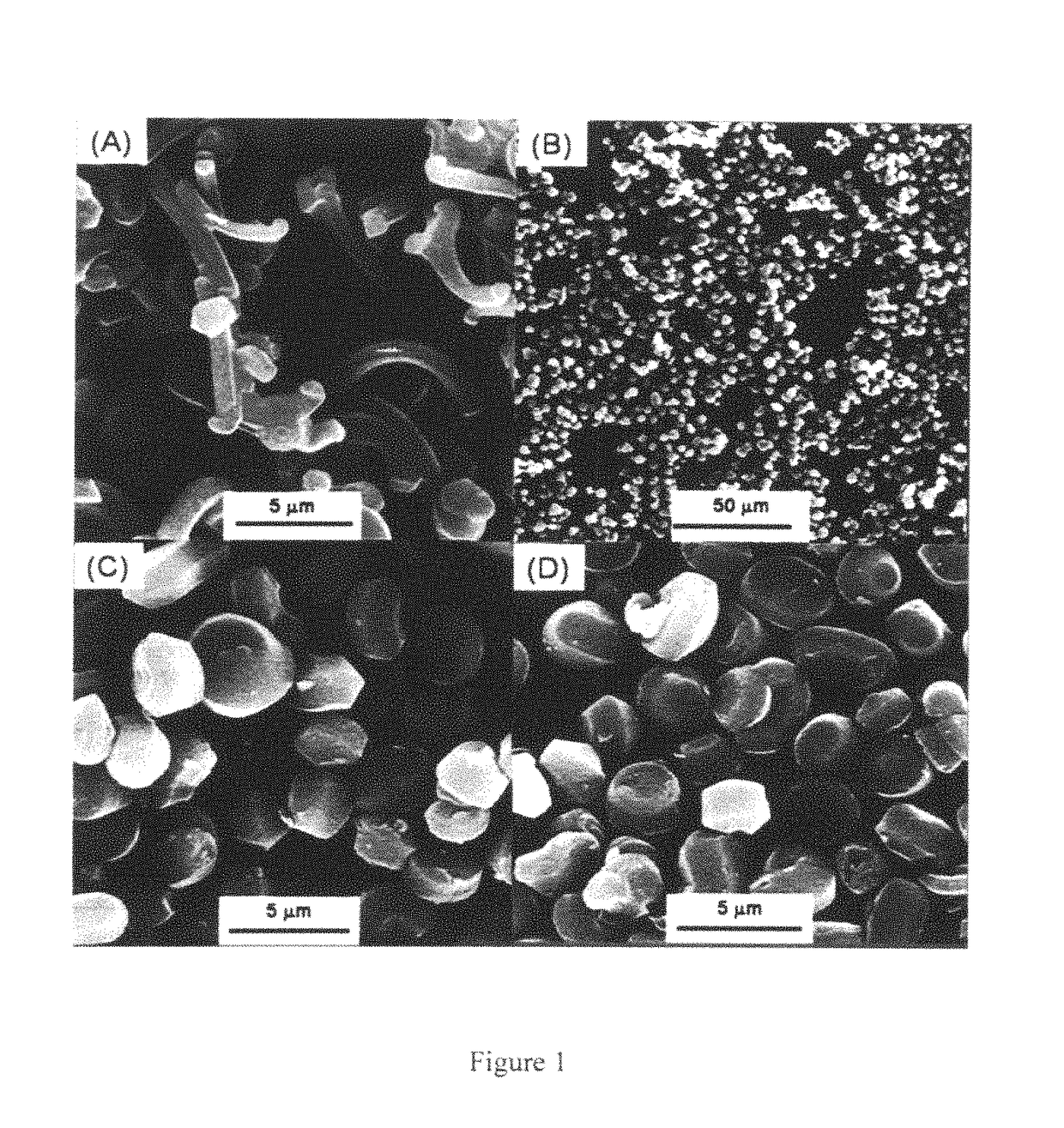 Use of self-assembled nanoporous glass colloids for prolongation of plasticity of polymeric materials