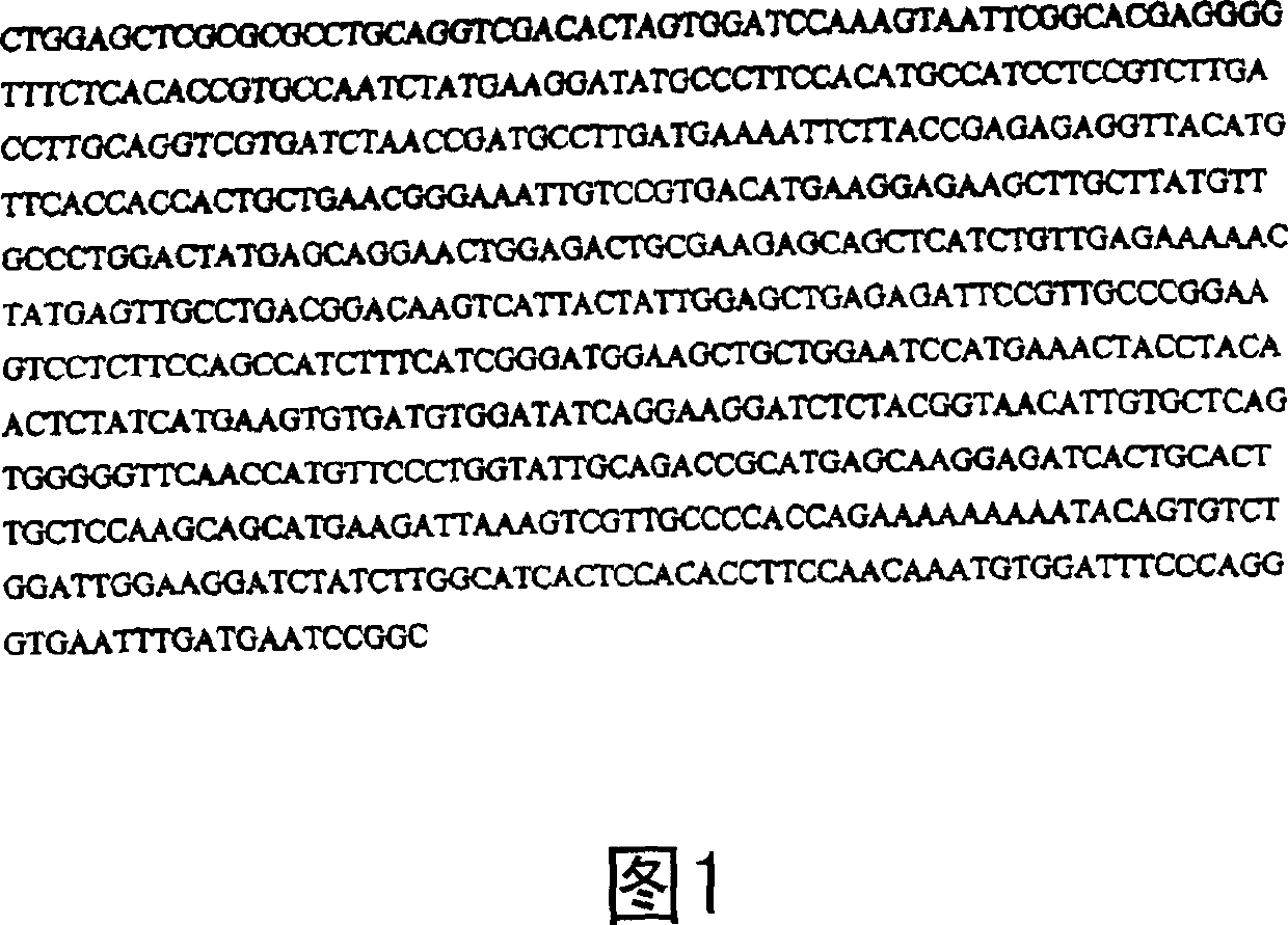 Isolation and characterization of fiber-specific actin promoter from cotton