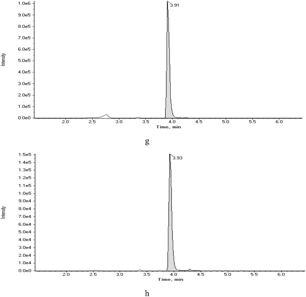 Detection method of multiresidue of 5 nitrofuran metabolites and chloramphenicol in shrimp