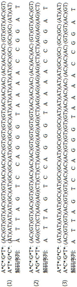 3'end reversible closed two-nucleotide real-time synthesizing and sequencing method