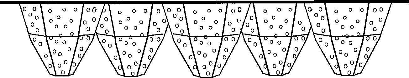 Stoup body seedling cultivation disk with micropore and hexagonal pyramid bottom