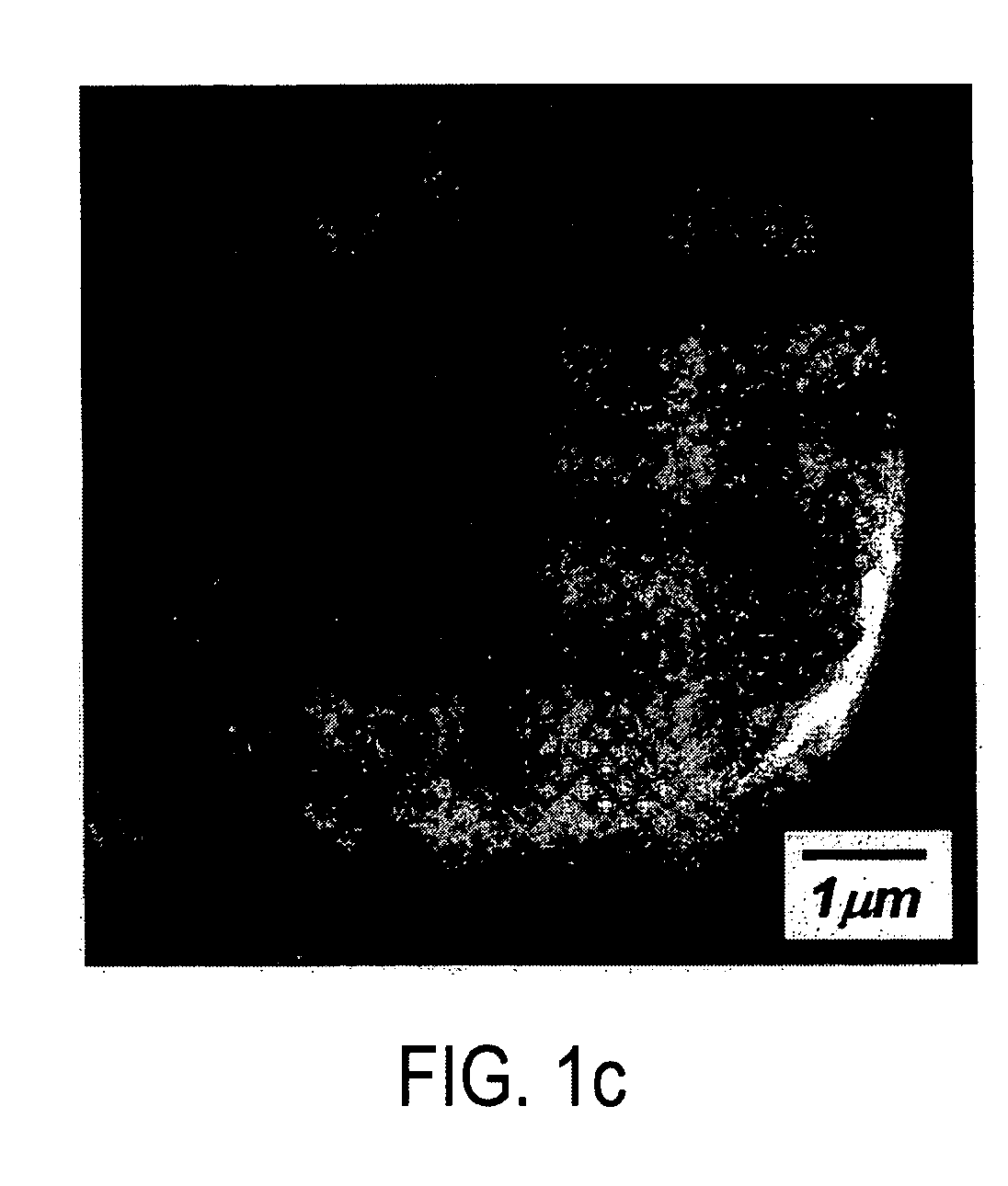 Method and apparatus for preparation of spherical metal carbonates and lithium metal oxides for lithium rechargeable batteries