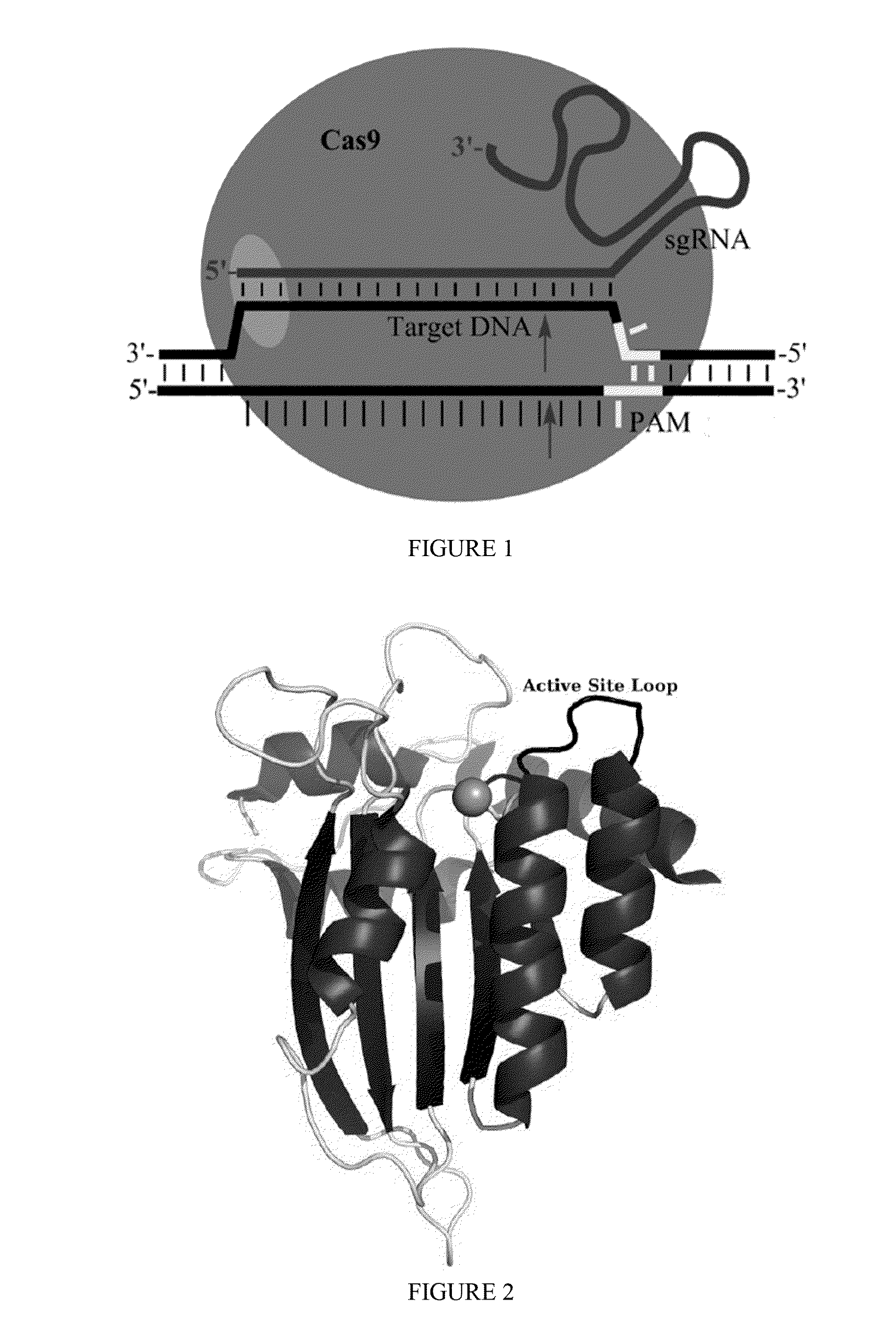 Methods for correcting presenilin point mutations