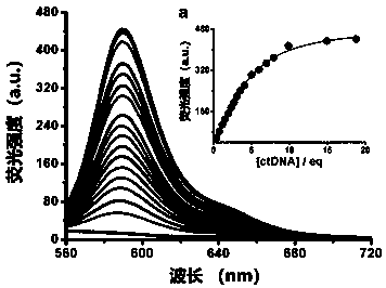 DNA (deoxyribonucleic acid) dye compound with nuclear targeting function and application