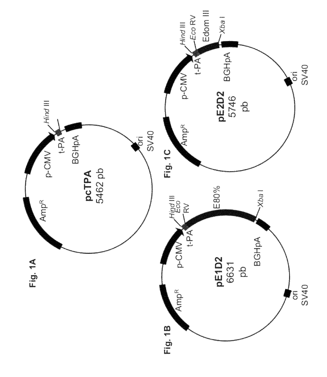 Method, kit, plasmid and composition for inducing an immune response to dengue virus, on the basis of DNA and chimeric virus vaccines