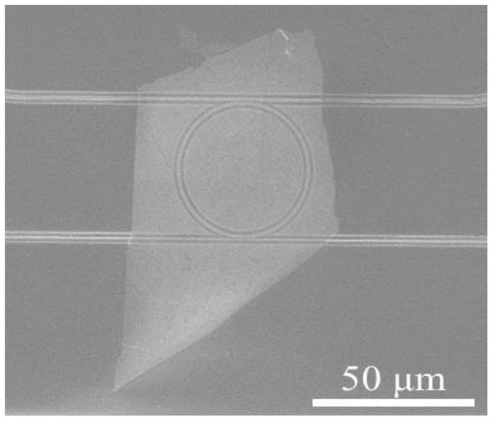 Optical frequency converter of silicon nitride micro-ring integrated gallium selenide film